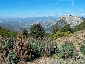 Les collines de Marseille